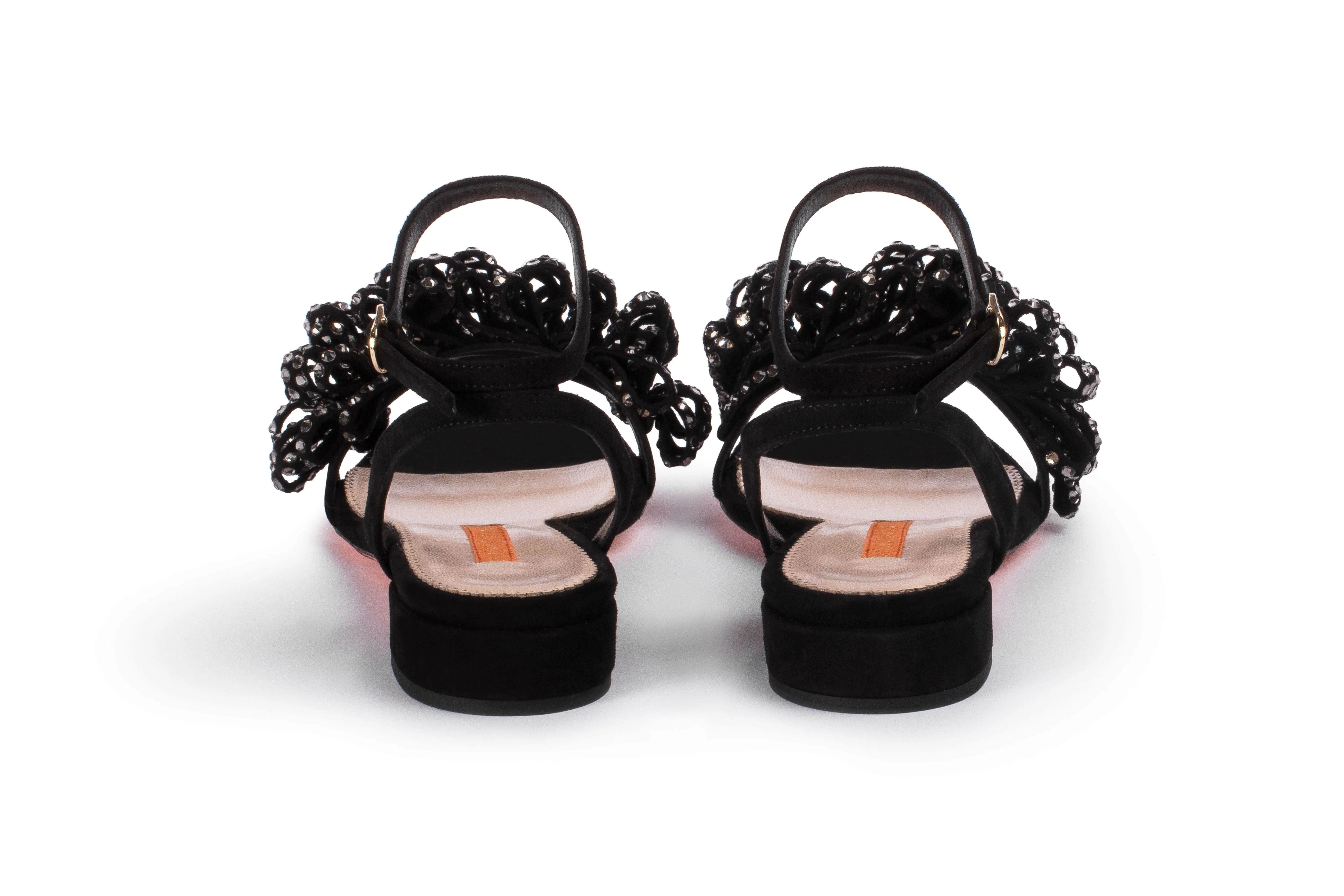 SCILLA FLAT